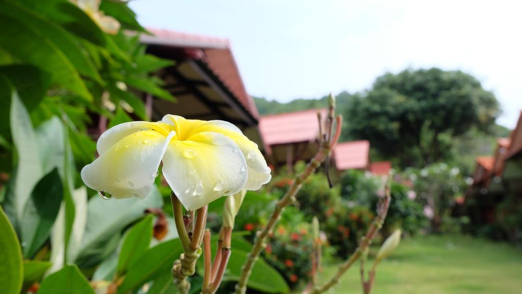 Pooltrap Village Bungalow Ko Pha Ngan Exterior foto